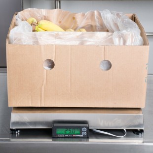 Cardinal Detecto APS250 250 lb. Receiving Scale with 18