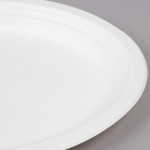 EcoChoice 12 1/2 EcoChoice 12 1/2