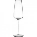 Acopa Piatta 13 oz. White Wine Glass - Sample Acopa Piatta 13 oz. White Wine Glass - Sample