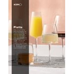 Acopa Piatta 13 oz. White Wine Glass - Sample Acopa Piatta 13 oz. White Wine Glass - Sample