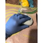 Noble Powder-Free Disposable Exam Grade Nitrile 4.5 Mil Thick Textured Gloves - Large - 100/Box Noble Powder-Free Disposable Exam Grade Nitrile 4.5 Mil Thick Textured Gloves - Large - 100/Box