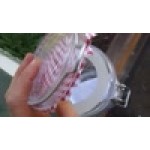 Libbey 17209925 25.25 oz. Garden Jar with Clamp Lid - 6/Case