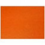 H. Risch, Inc. PLACEMATDX-RIOORANGE Rio 16
