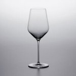 Stolzle Starlight from Global Tableware Collective 9.75 oz. Flute Glass - 24/Pack Stolzle Starlight from Global Tableware Collective 9.75 oz. Flute Glass - 24/Pack