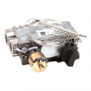 Electrolux Professional 0C9900 Gas Valve, Gv30T-C6Aza0K0-001