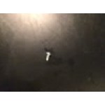 Waring 026461 Screw for Blenders Waring 026461 Screw for Blenders