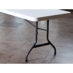Lifetime Folding Table, 30