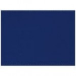 H. Risch, Inc. PLACEMATDX-RIOBROWN Rio 16 H. Risch, Inc. PLACEMATDX-RIOBROWN Rio 16