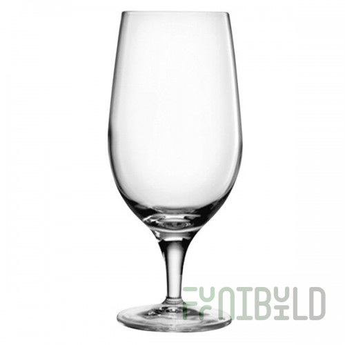 Luigi Bormioli Michelangelo from BauscherHepp 19.5 oz. All-Purpose Goblet - 24/Case