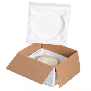 Polar Tech Thermo Chill Round Interior Pie / Cake / Pizza Insulated Shipping Foam Container 8