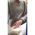 Shurtape 0.75 Shurtape 0.75