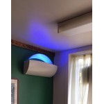 Lavex Zap N Trap White Wall Sconce Insect Light Trap with 2 Glue Boards, 1,500 sq. ft. Coverage - 120V, 30W