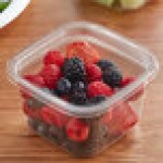 Fabri-Kal LSQ TruWare Square Plug Fit PET Deli Lid - 600/Case Fabri-Kal LSQ TruWare Square Plug Fit PET Deli Lid - 600/Case