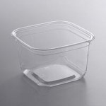 Fabri-Kal LSQ TruWare Square Plug Fit PET Deli Lid - 600/Case Fabri-Kal LSQ TruWare Square Plug Fit PET Deli Lid - 600/Case