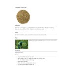 Davidson's Organic Yerba Mate Herbal Loose Leaf Tea 1 lb. Davidson's Organic Yerba Mate Herbal Loose Leaf Tea 1 lb.