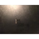 Waring 026455 Screw for Blenders Waring 026455 Screw for Blenders