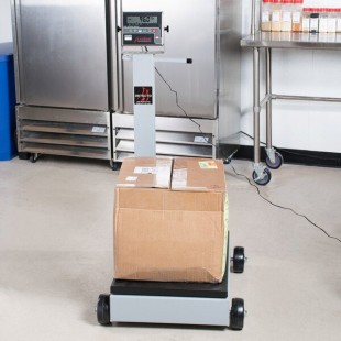 Cardinal Detecto 8852F-185 1000 lb. Portable Digital Floor Scale with 204 Indicator and Tower Display, Legal for Trade Cardinal Detecto 8852F-185 1000 lb. Portable Digital Floor Scale with 204 Indicator and Tower Display, Legal for Trade