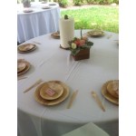 Bambu® 060700 Veneerware® 9 Bambu® 060700 Veneerware® 9