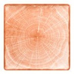 RAK Porcelain Woodart 12