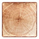 RAK Porcelain Woodart 12