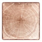 RAK Porcelain Woodart 12