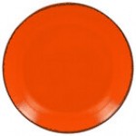 RAK Porcelain Fire 10 5/8