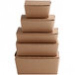 Fold-Pak 02BPDINEEM Bio-Plus Dine Kraft Microwavable Paper #2 Take-Out Container 7 3/4 Fold-Pak 02BPDINEEM Bio-Plus Dine Kraft Microwavable Paper #2 Take-Out Container 7 3/4