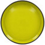 RAK Porcelain Fire 10 5/8 RAK Porcelain Fire 10 5/8
