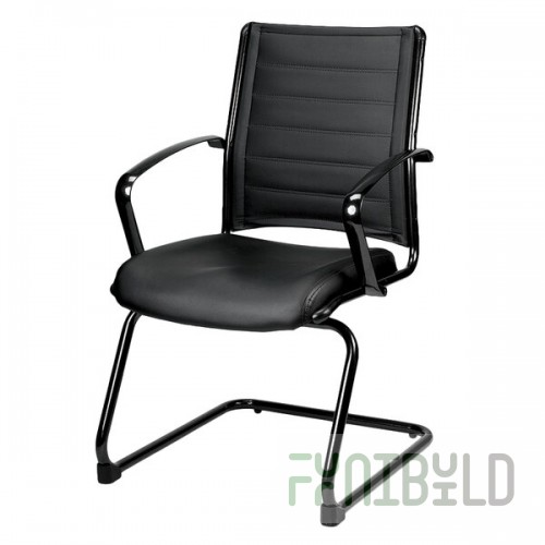 Eurotech LE333TNM-BLKL Europa Metallic Series Black Leather Arm Chair
