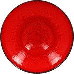 RAK Porcelain Fire 10 1/4 RAK Porcelain Fire 10 1/4