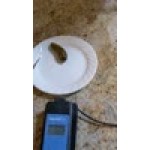 Cooper-Atkins 35132 AquaTuff Waterproof Thermocouple Thermometer - Wrap&Stow with DuraNeedle Probe, -100 to 500 Degrees Fahrenheit Cooper-Atkins 35132 AquaTuff Waterproof Thermocouple Thermometer - Wrap&Stow with DuraNeedle Probe, -100 to 500 Degrees Fahrenheit