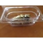 Carlisle 3068807 StorPlus 1/9 Size Clear Polycarbonate Food Pan - 6