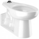 Sloan 2172029 ADA Height Elongated Floor-Mounted Toilet with SloanTec Glaze - 1.1 to 1.6 GPF Sloan 2172029 ADA Height Elongated Floor-Mounted Toilet with SloanTec Glaze - 1.1 to 1.6 GPF