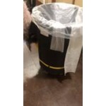 Rubbermaid® BRUTE 20 Gallon Black Executive Round Trash Can with Lid and Dolly