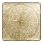 RAK Porcelain Woodart 12