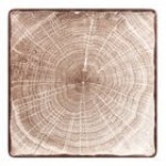 RAK Porcelain Woodart 12