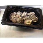 Vollrath 8002410 Super Pan® Full Size Clear Polycarbonate Food Pan - 2 1/2