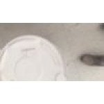 Rubbermaid® BRUTE 10 Gallon White Round Trash Can and Lid Rubbermaid® BRUTE 10 Gallon White Round Trash Can and Lid