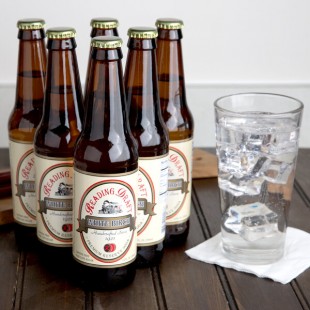 Reading Soda Works White Birch 12 fl. oz. - 12/Case Reading Soda Works White Birch 12 fl. oz. - 12/Case