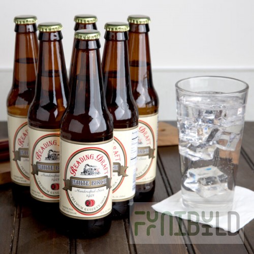 Reading Soda Works White Birch 12 fl. oz. - 12/Case