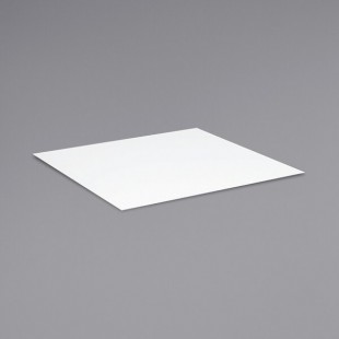 Palmer Snyder 3' x 3' White Acrylic Portable Dance Floor Panel