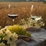 Stolzle Cocoon from Global Tableware Collective 25 oz. Burgundy Wine Glass - 6/Case