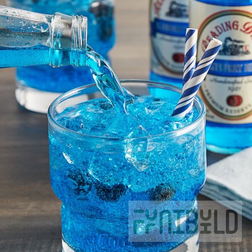 Reading Soda Works Blueberry Birch Beer 12 fl. oz. - 12/Case