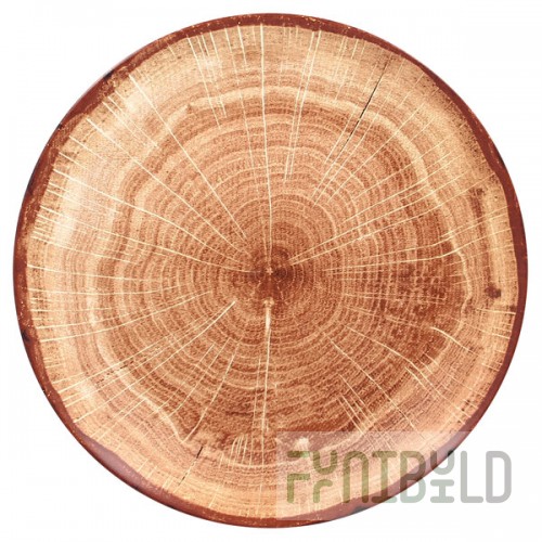 RAK Porcelain Woodart 11 7/16