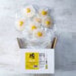 Yo Egg Plant-Based Sunny Side Up Egg 1.97 oz. - 48/Case Yo Egg Plant-Based Sunny Side Up Egg 1.97 oz. - 48/Case