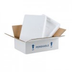 Polar Tech Thermo Chill Large Insulated Shipping Box with Foam Container 22 Polar Tech Thermo Chill Large Insulated Shipping Box with Foam Container 22