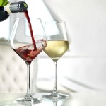Stolzle Revolution from Global Tableware Collective 19.25 oz. Burgundy Wine Glass - 6/Pack