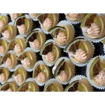 Blue Henry Dried Lime Slices - 40/Box
