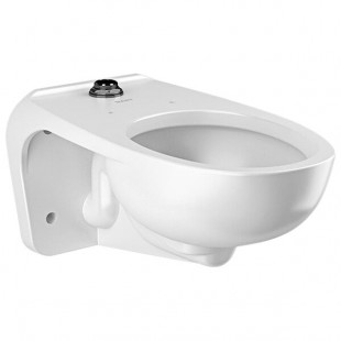Sloan 2102459T ADA Elongated Wall-Mounted Toilet - 1.1 to 1.6 GPF Sloan 2102459T ADA Elongated Wall-Mounted Toilet - 1.1 to 1.6 GPF