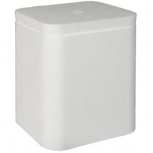 Insulated Foam Cooler 5 1/2